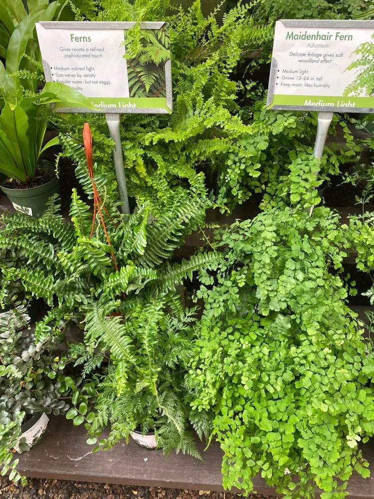 Professional landscape installation in El Cajon, CA by Armstrong Garden Centers