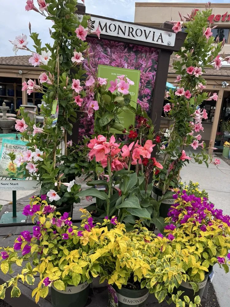 Professional landscaping services in El Cajon, CA - Armstrong Garden Centers