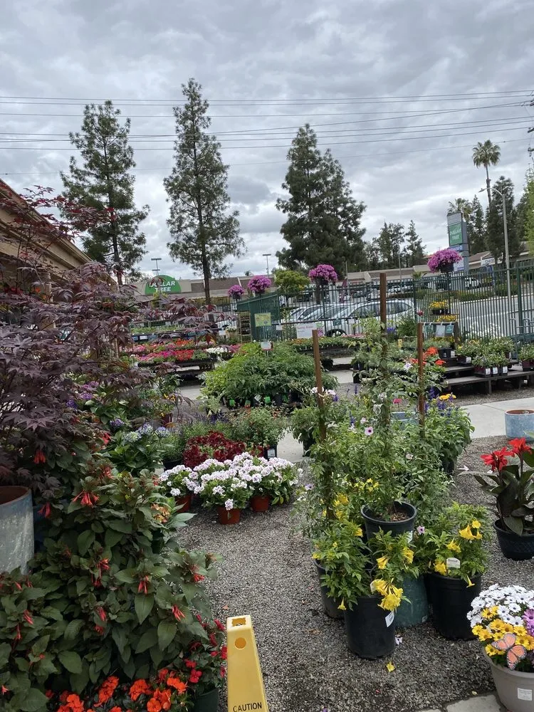 Local residential landscaping for beautiful yards in El Cajon, CA by Armstrong Garden Centers
