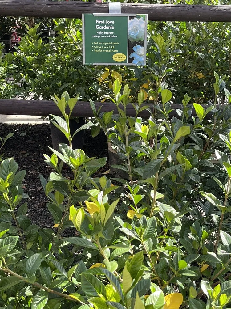 Professional landscaping services in El Cajon, CA - Armstrong Garden Centers