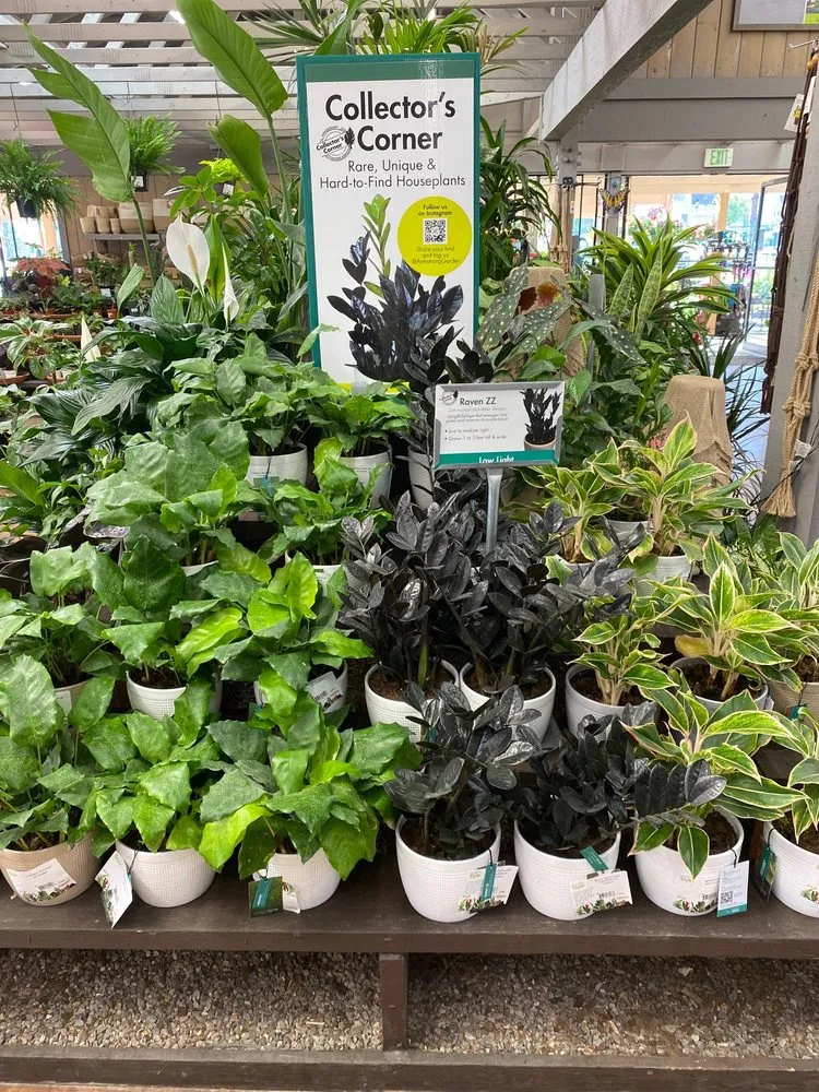 Reliable lawn mowing service in El Cajon, CA - Armstrong Garden Centers