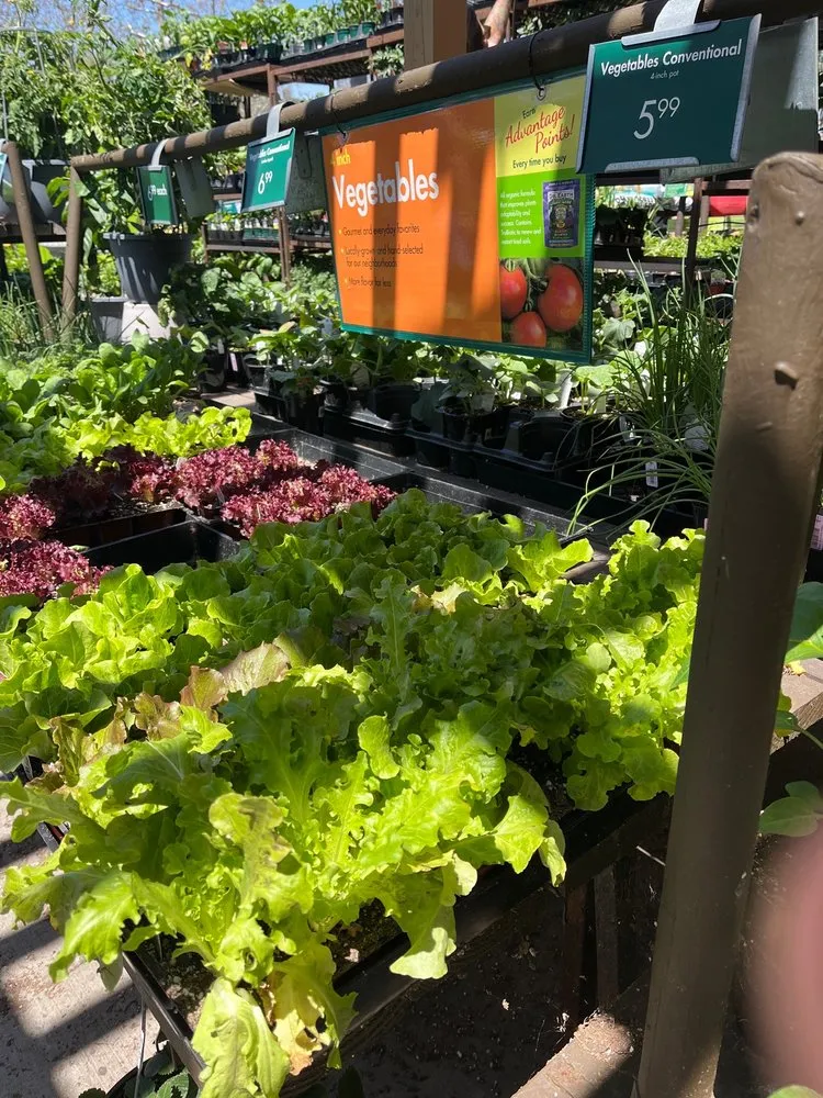 Expert lawn care service in Encinitas, CA by Armstrong Garden Centers