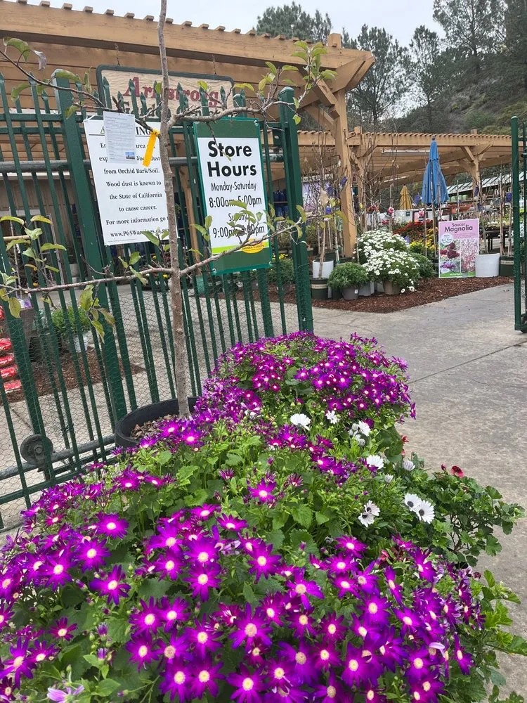 Top-rated yard maintenance for beautiful yards in Encinitas, CA by Armstrong Garden Centers