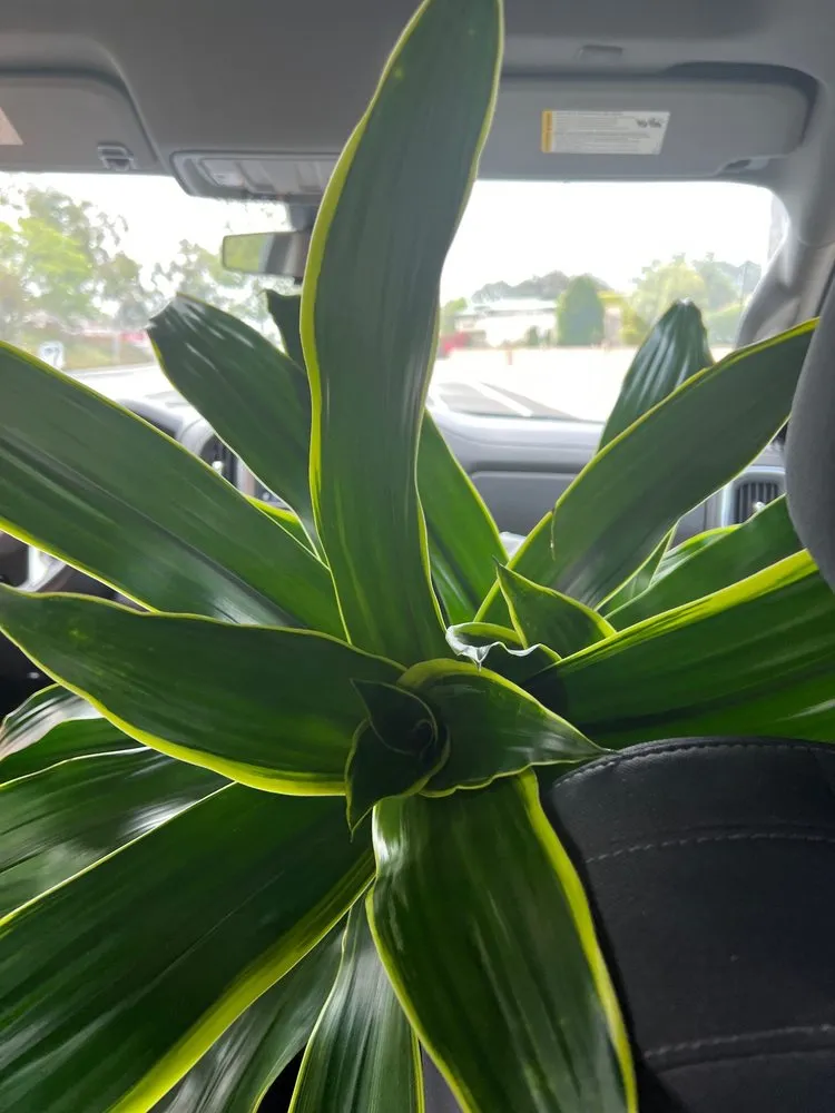 Professional garden landscaping experts serving Encinitas, CA - Armstrong Garden Centers