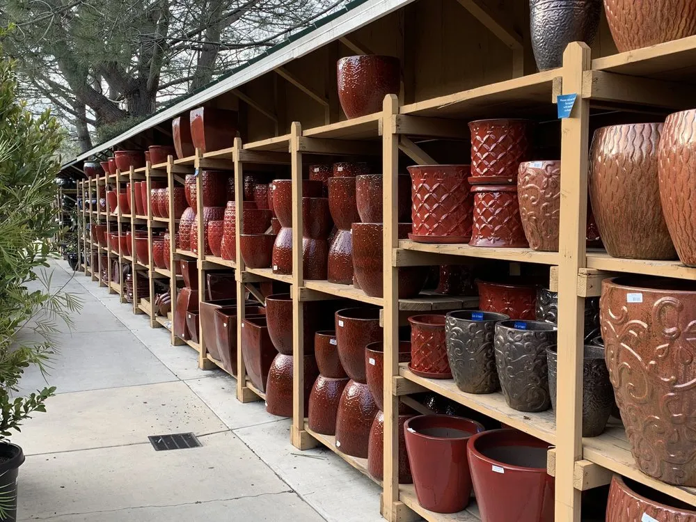 Affordable landscape installation in Encinitas, CA by Armstrong Garden Centers