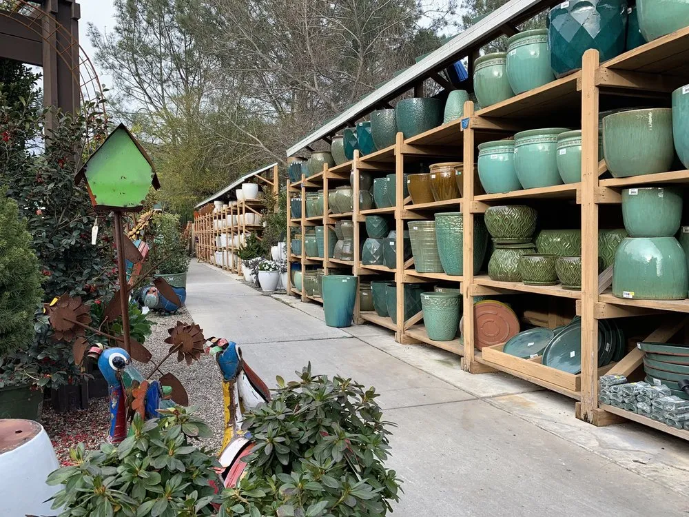 Top-rated residential landscaping experts serving Encinitas, CA - Armstrong Garden Centers