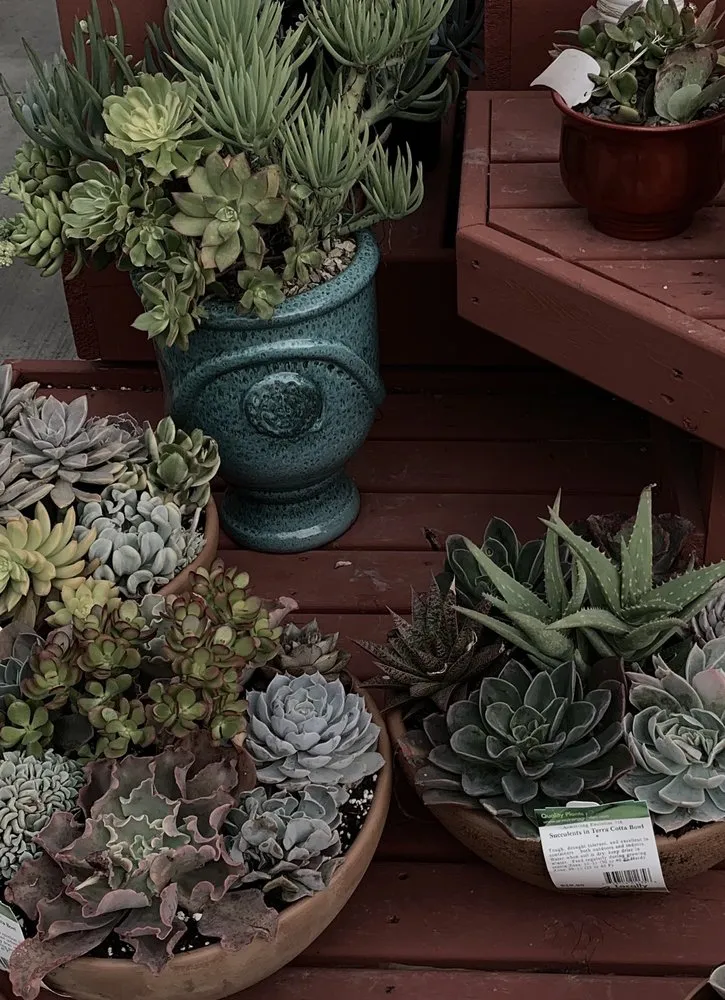 Custom lawn mowing service in Encinitas, CA by Armstrong Garden Centers