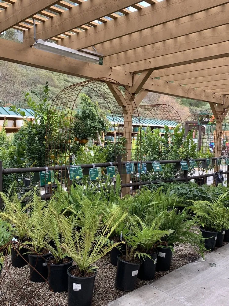 Professional yard maintenance in Encinitas, CA by Armstrong Garden Centers