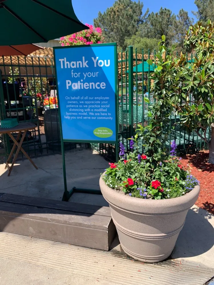 Trusted yard cleanup service experts serving Encinitas, CA - Armstrong Garden Centers