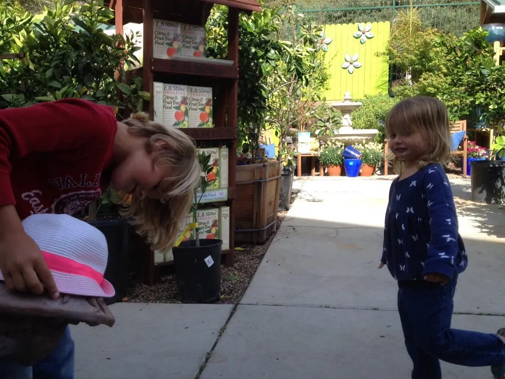 Top-rated landscape installation for beautiful yards in Encinitas, CA by Armstrong Garden Centers