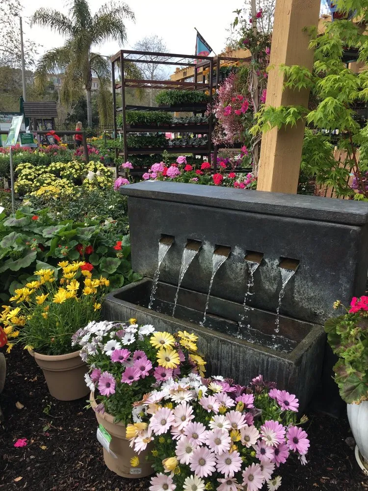 Custom outdoor landscaping experts serving Encinitas, CA - Armstrong Garden Centers