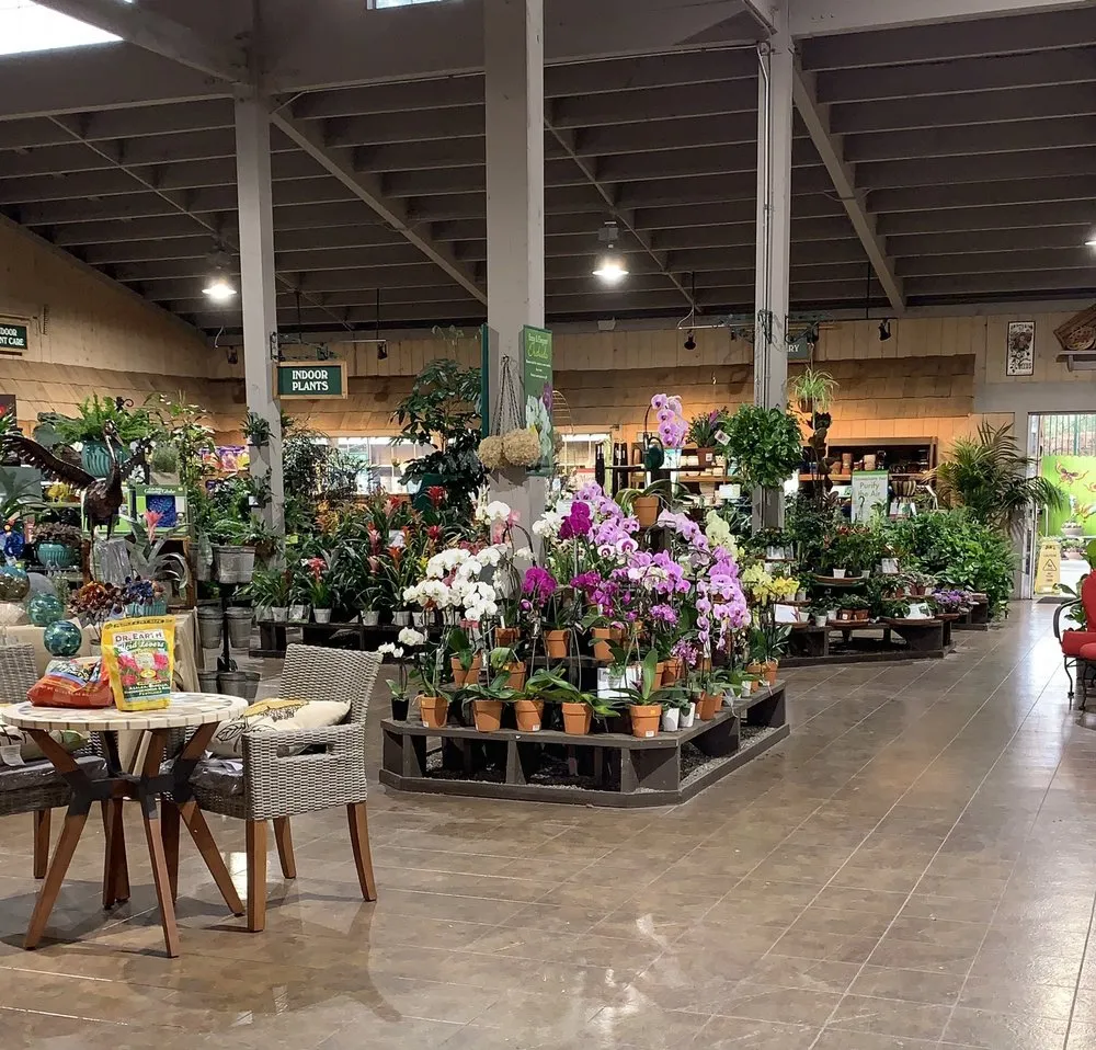 Trusted garden landscaping for year-round maintenance in Encinitas, CA by Armstrong Garden Centers