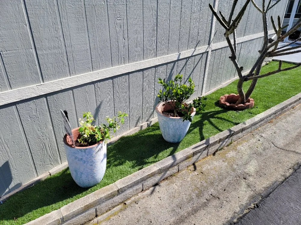 Custom landscaping services in Encinitas, CA - Armstrong Garden Centers