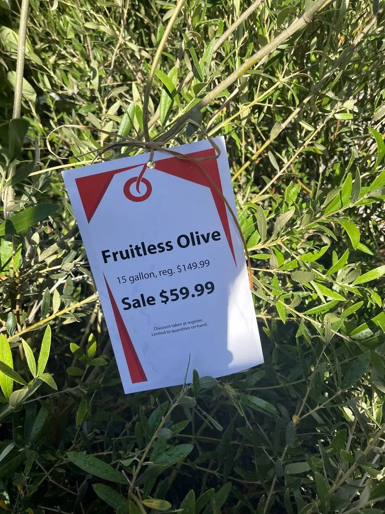 Professional residential landscaping for beautiful yards in Encinitas, CA by Armstrong Garden Centers