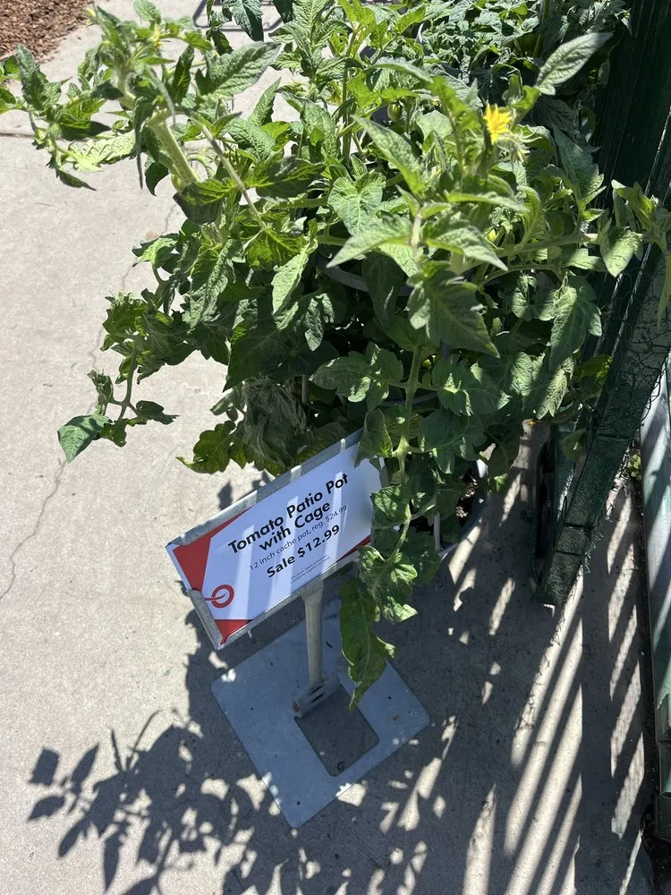 Affordable landscaping services in Encinitas, CA by Armstrong Garden Centers