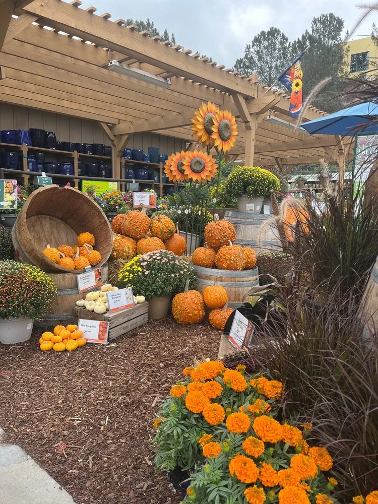 Local residential landscaping experts serving Encinitas, CA - Armstrong Garden Centers