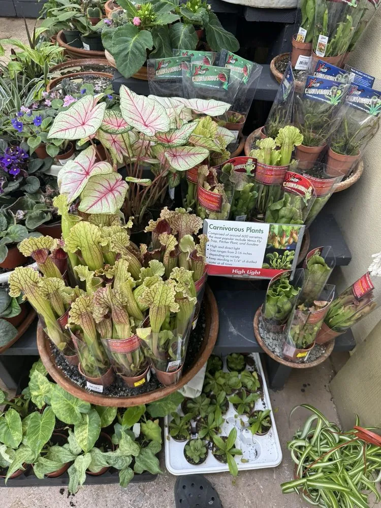 Custom lawn mowing service in Glendale, CA - Armstrong Garden Centers