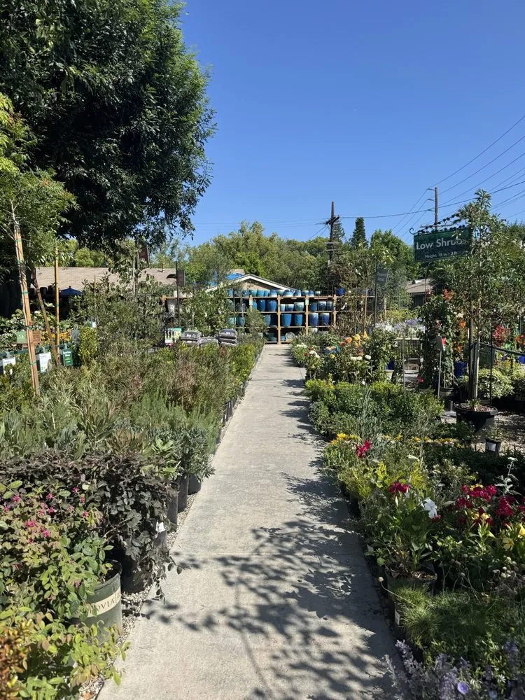 Affordable yard cleanup service in Glendale, CA by Armstrong Garden Centers