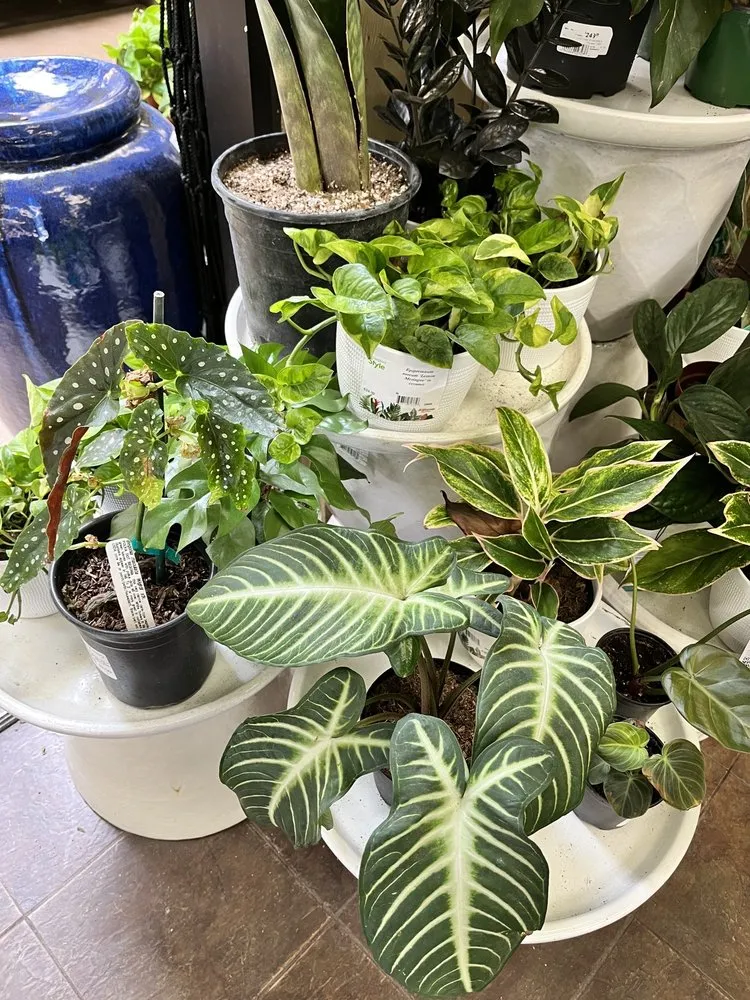 Custom garden landscaping in Glendale, CA - Armstrong Garden Centers