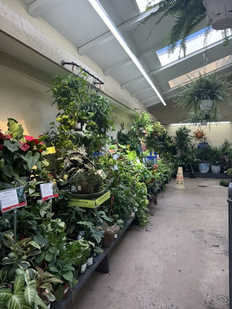 Trusted landscape design experts serving Glendale, CA - Armstrong Garden Centers