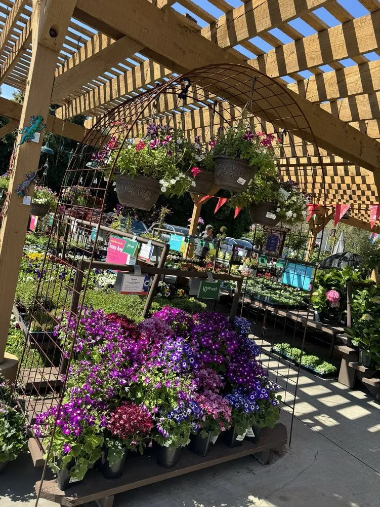 Top-rated lawn care service in Glendale, CA - Armstrong Garden Centers