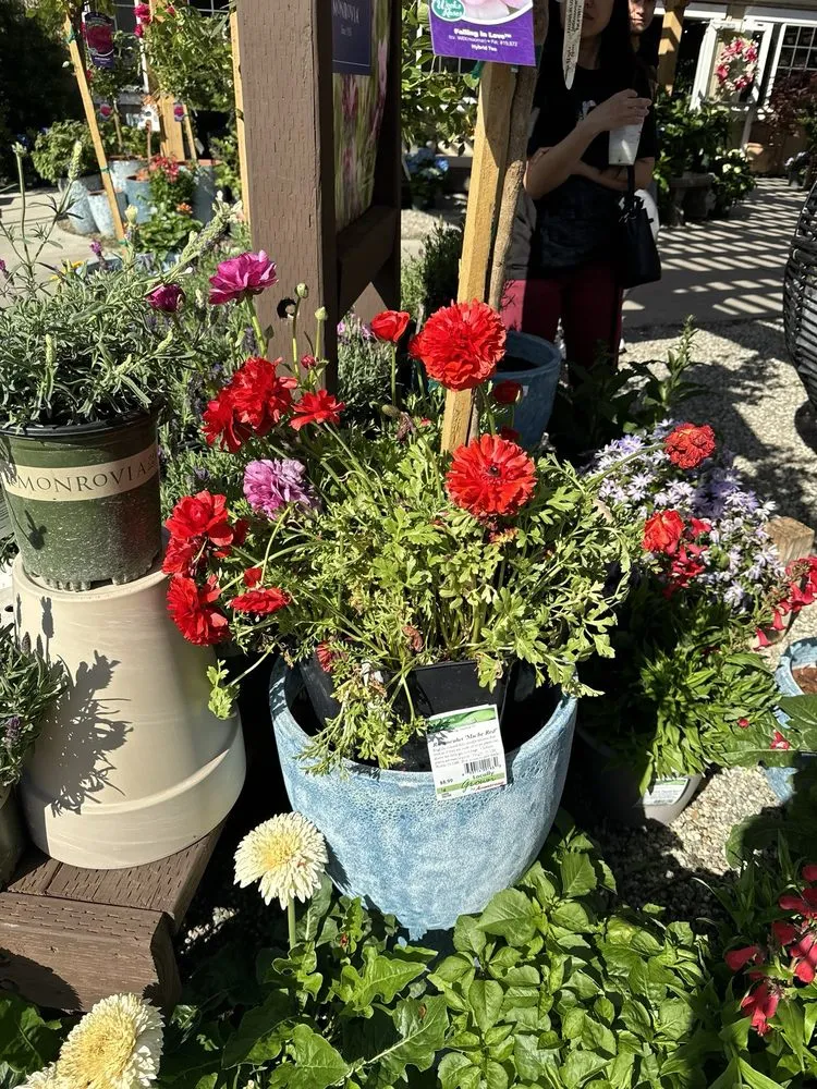 Custom landscaping services for outdoor upgrades across Glendale, CA - Armstrong Garden Centers