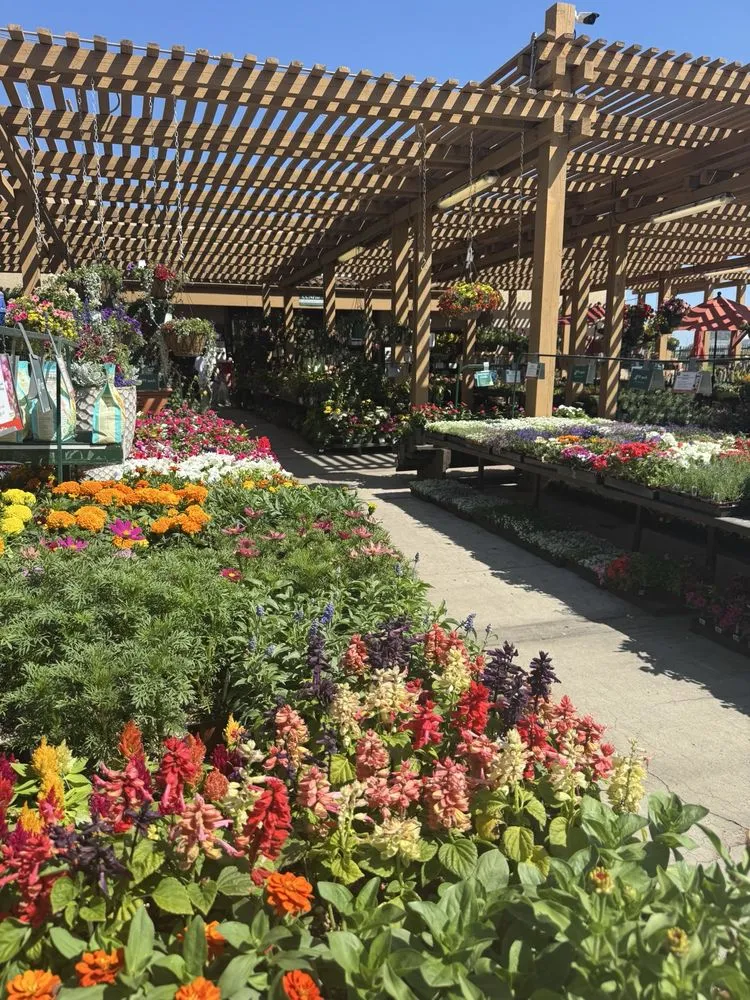 Professional yard cleanup service for residential properties across Glendale, CA - Armstrong Garden Centers