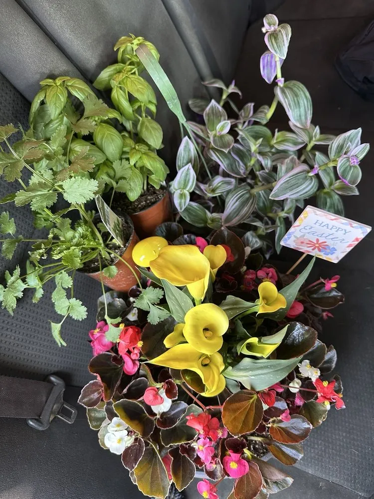 Custom landscaping services in Glendale, CA by Armstrong Garden Centers