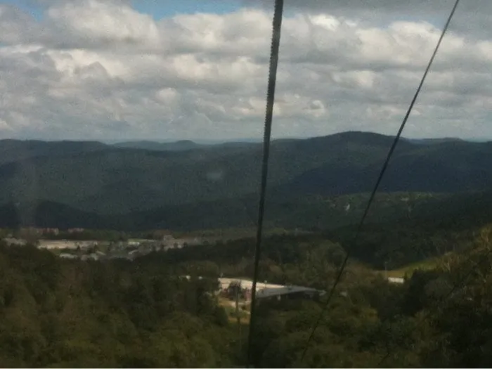 Professional landscape installation for residential properties in Glendale, CA by Armstrong Garden Centers