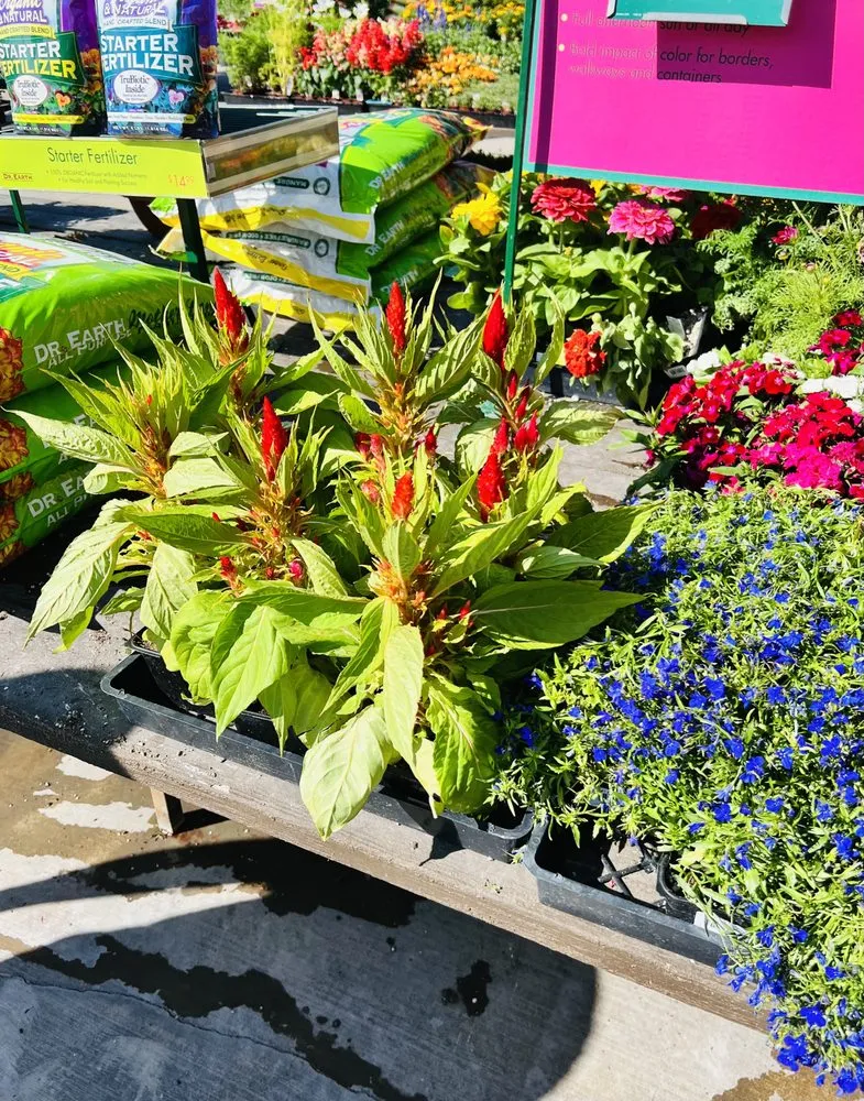 Expert landscape design with custom design in Glendale, CA by Armstrong Garden Centers