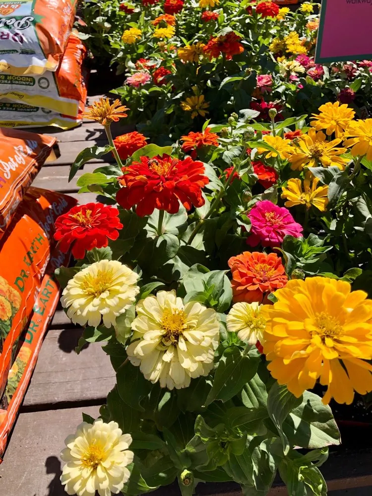 Custom garden landscaping for year-round maintenance in Glendora, CA by Armstrong Garden Centers