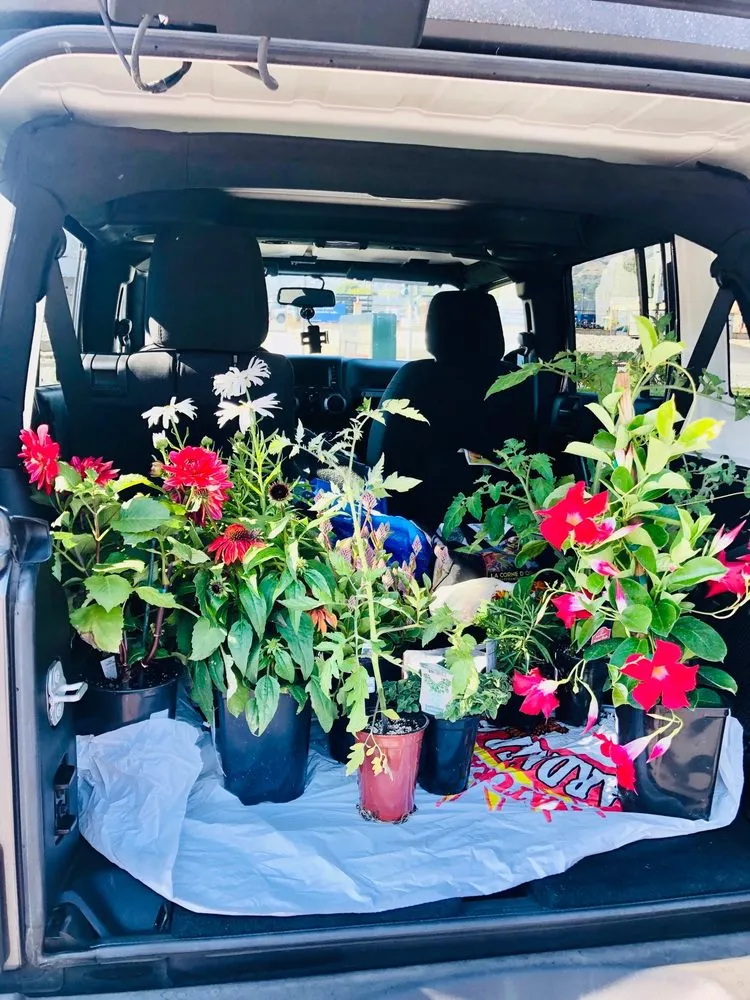 Affordable landscape installation experts serving Glendora, CA - Armstrong Garden Centers