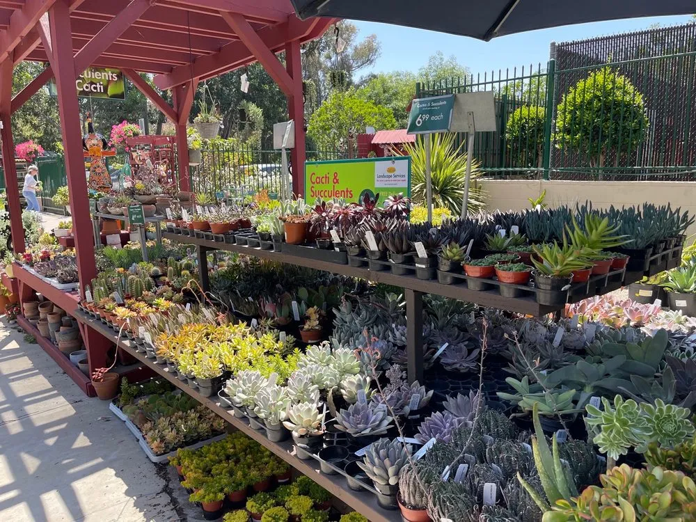 Professional lawn care service near you in Huntington Beach, CA by Armstrong Garden Centers