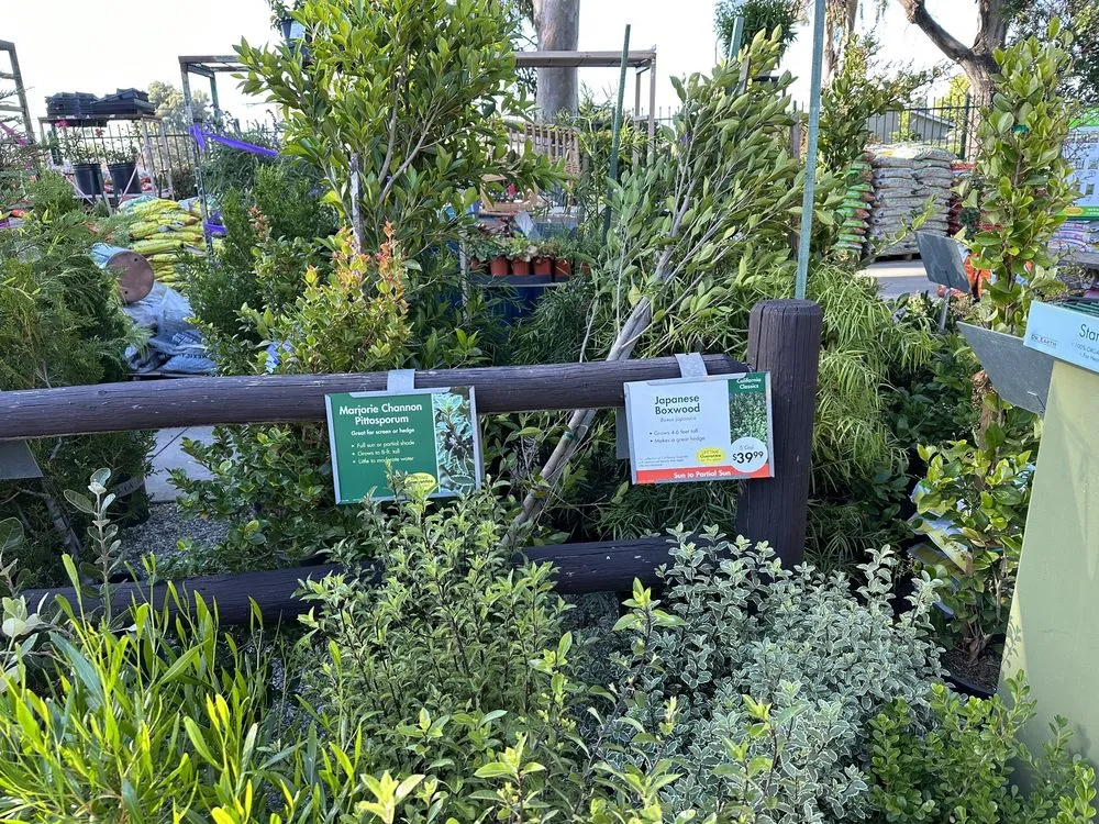 Top-rated lawn mowing service in Huntington Beach, CA by Armstrong Garden Centers