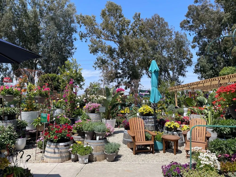 Custom landscape installation experts serving Huntington Beach, CA - Armstrong Garden Centers