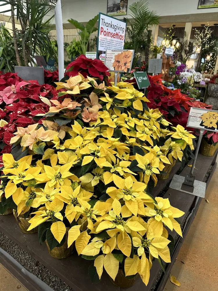 Affordable yard maintenance for homes in Huntington Beach, CA by Armstrong Garden Centers