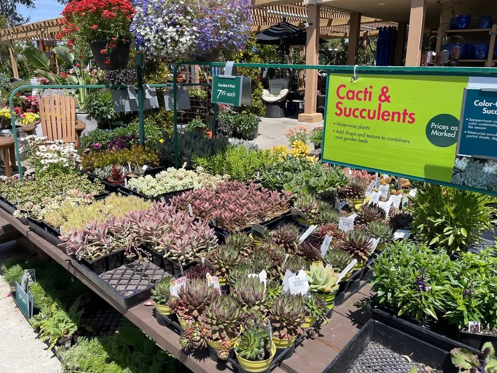 Expert lawn care service in Huntington Beach, CA - Armstrong Garden Centers