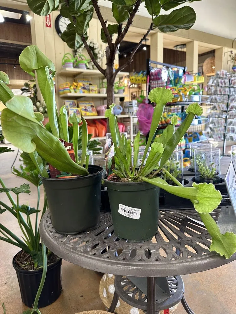 Expert landscaping services in Huntington Beach, CA by Armstrong Garden Centers