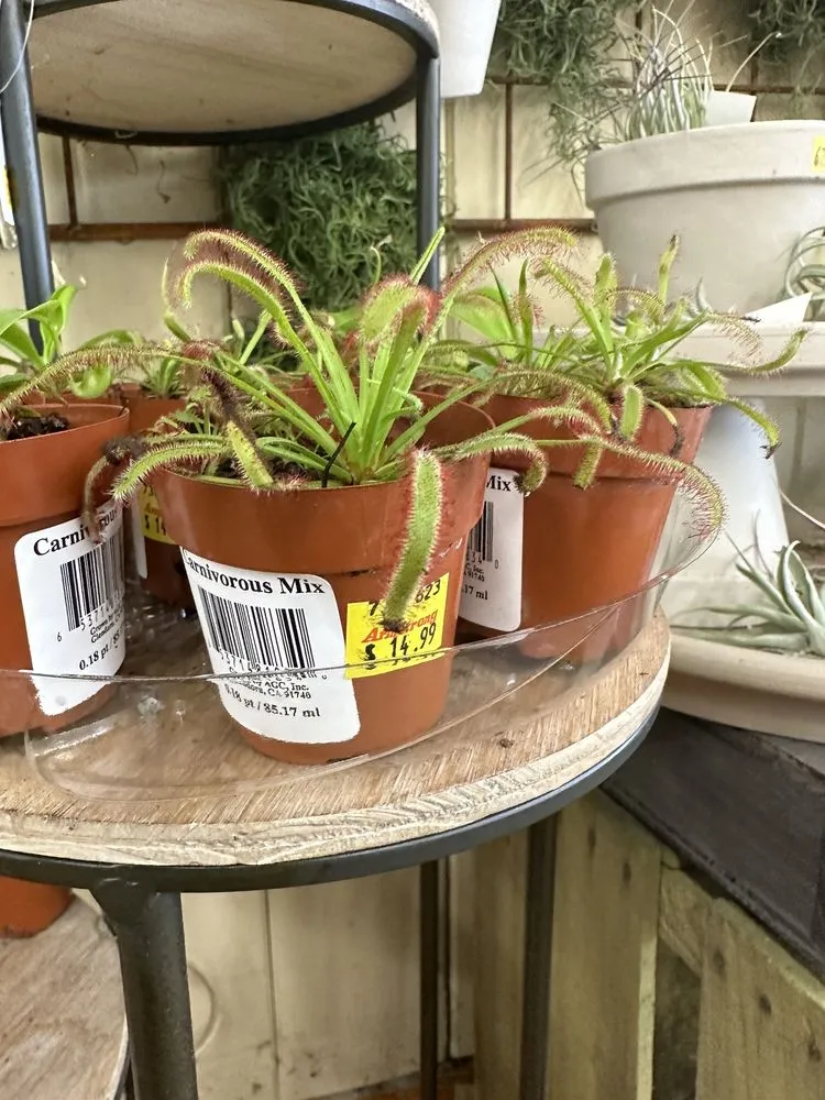 Professional landscaping services for homes across Huntington Beach, CA - Armstrong Garden Centers