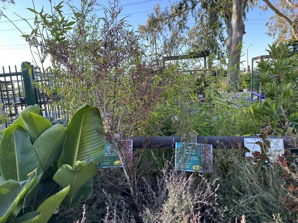 Local yard maintenance in Huntington Beach, CA by Armstrong Garden Centers