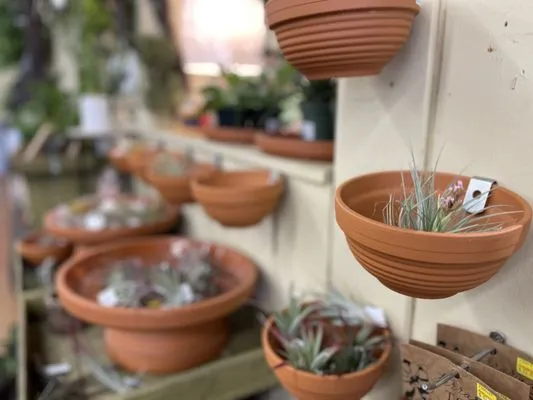 Armstrong Garden Centers Logo