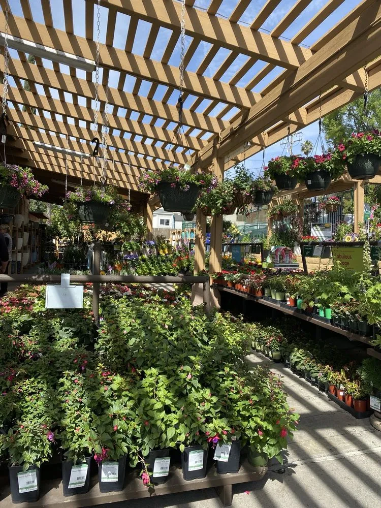 Professional landscaping services in La Canada Flintridge, CA by Armstrong Garden Centers