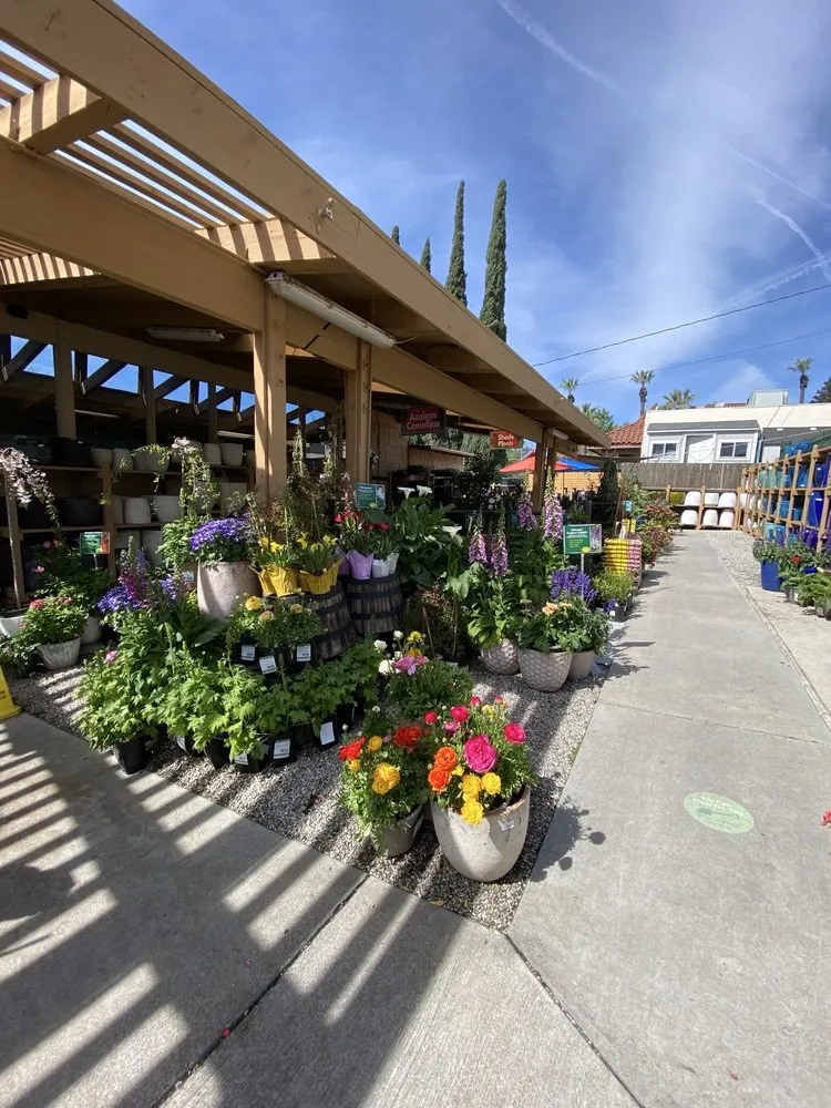 Reliable residential landscaping with custom design across La Canada Flintridge, CA - Armstrong Garden Centers