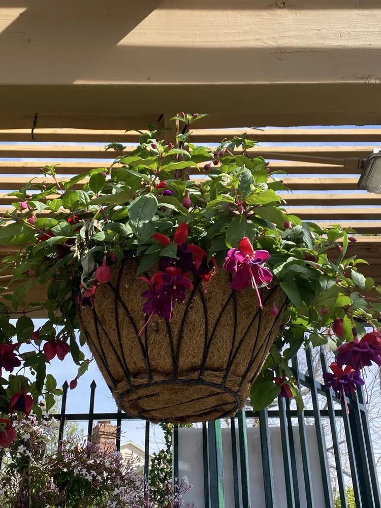 Affordable outdoor landscaping in La Canada Flintridge, CA - Armstrong Garden Centers