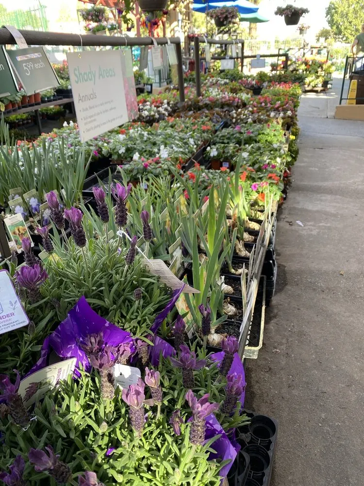 Affordable garden landscaping experts serving La Canada Flintridge, CA - Armstrong Garden Centers