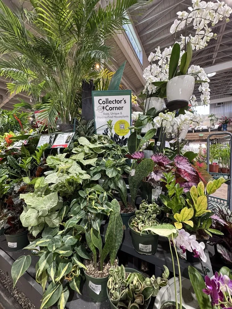 Trusted landscape design near you in La Habra, CA by Armstrong Garden Centers