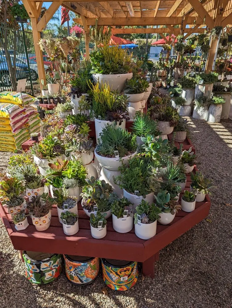 Top-rated lawn care service for outdoor upgrades across La Habra, CA - Armstrong Garden Centers