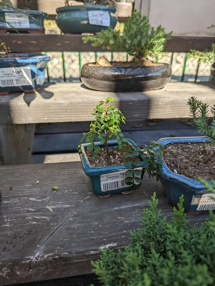 Trusted lawn mowing service experts serving La Habra, CA - Armstrong Garden Centers