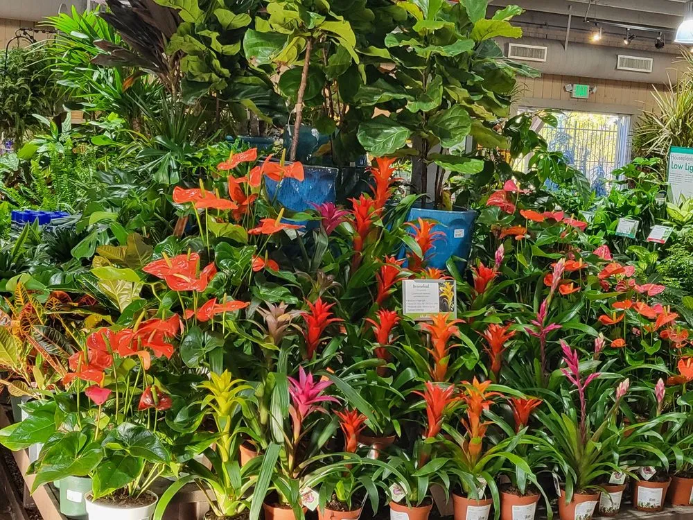 Affordable yard maintenance experts serving La Habra, CA - Armstrong Garden Centers