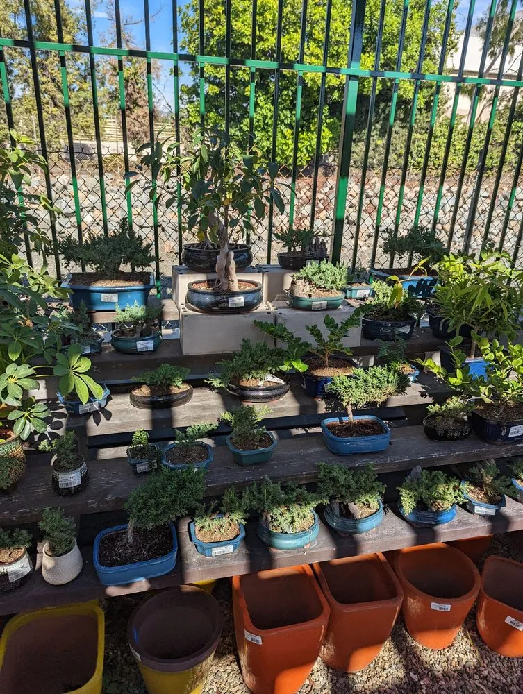 Trusted yard maintenance in La Habra, CA by Armstrong Garden Centers